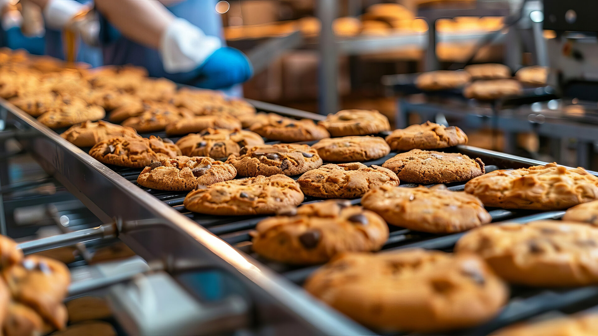 # INSIGHTS: Plant Protein in Baking Mixes