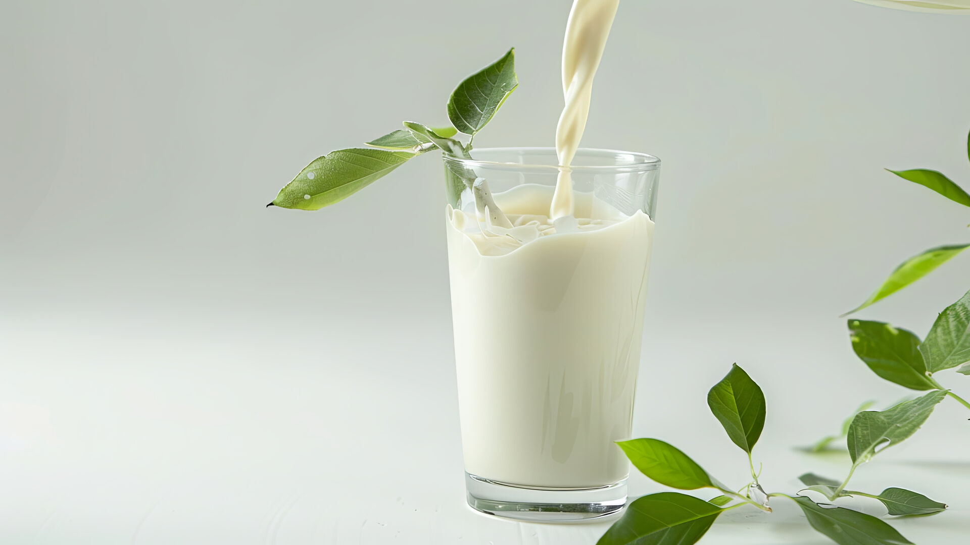 # INSIGHTS: The Role of Legume Proteins in Dairy Alternative Formulations